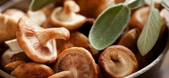  ما هي فوائد الفطر الصحية؟