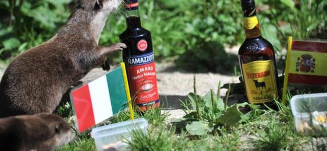 هل يمكن أن تصبح الحيوانات مدمنة على الكحول ؟