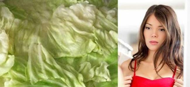 ملفوف في حمالات صدورهنّ... لماذا؟