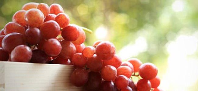  كيف تساعد بذور العنب على حماية الأسنان وتقويتها؟