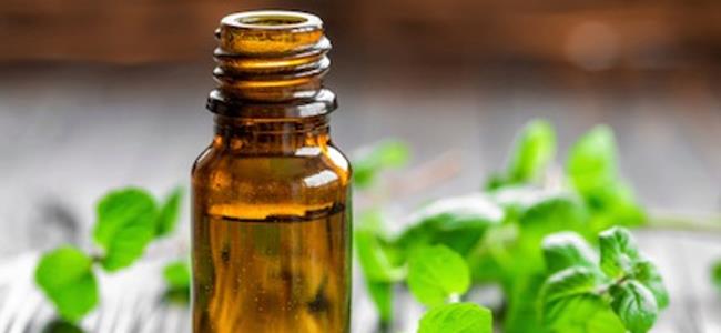 زيوت أساسية تساعد على إنقاص الوزن