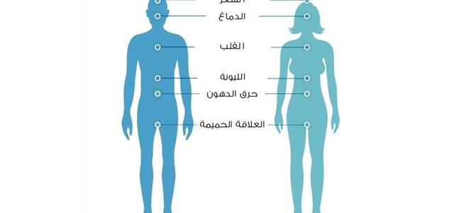 9 فروقات بين جسم المرأة وجسم الرجل .. حقائق مذهلة لم تعرفيها من قبل