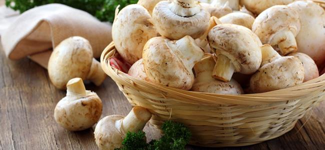 ما لا تعرفه عن الفطر.. يحرق الدهون ويعالج عسر الهضم!