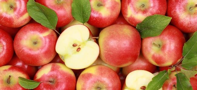 التفاح يحمى من الزهايمر ويغذي الشعر