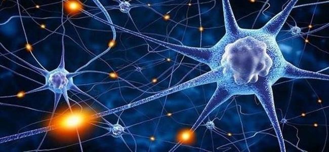 إطالة العمر في المستقبل قد تصبح ممكنة