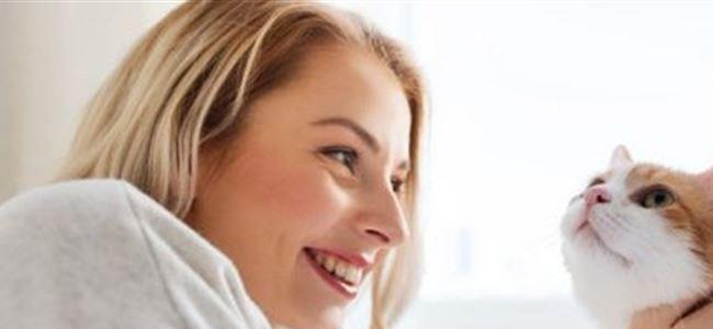 هل تسبب القطط العقم لدى النساء؟