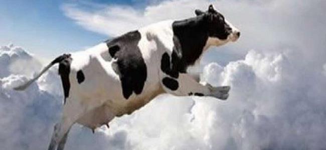 أغرب 6 أشياء رآها البشر تسقط من السماء