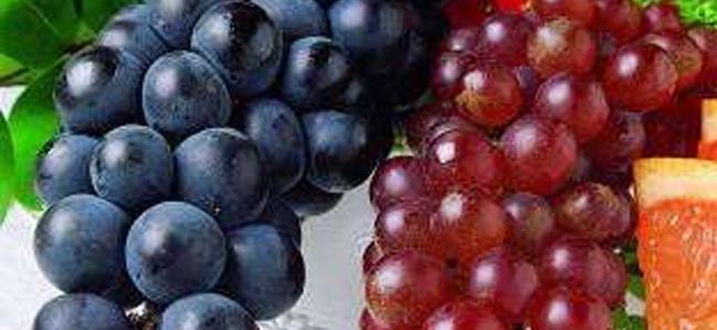  يحمي من تصلب الشرايين ويقي من السرطان.. تعرف على أهم فوائد العنب 