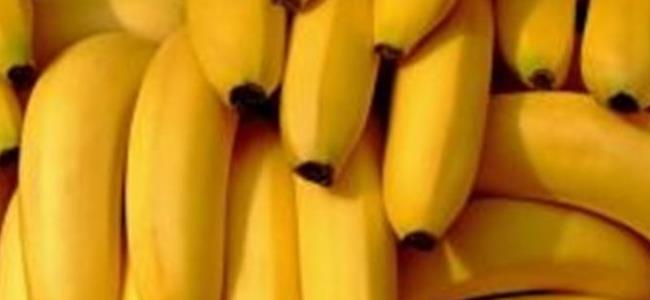 هل فعلاً يؤدي الموز الى البدانة؟