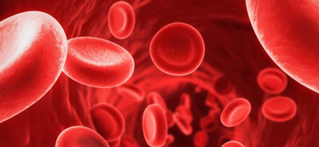  لزيادة عدد كريات الدم الحمراء... تناولوا هذه الأطعمة
