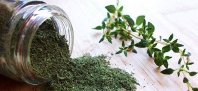 علاج حب الشباب بالزعتر