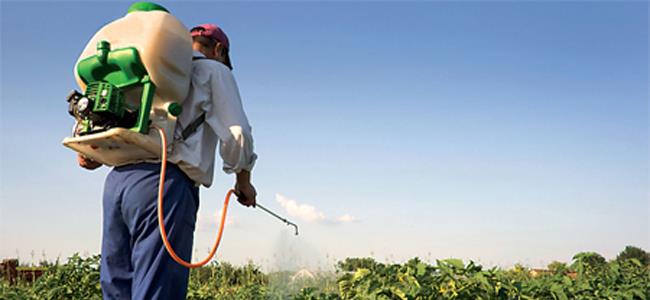 الخضروات والفواكه المرشوشة بالمبيدات تقلل فرص الحمل