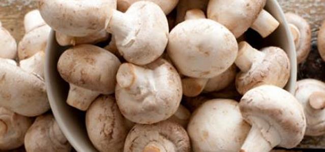 أفضل المصادر الغذائية الغنية بفيتامين د