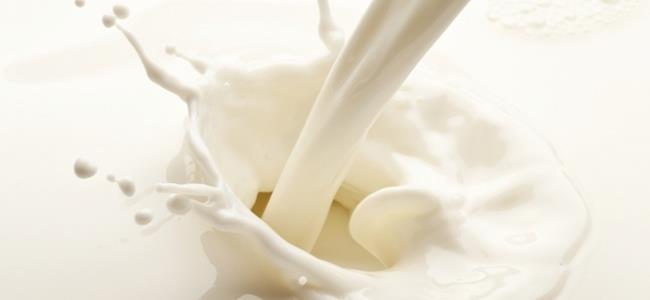 الحليب لفقدان الوزن وارتفاع ضغط الدم