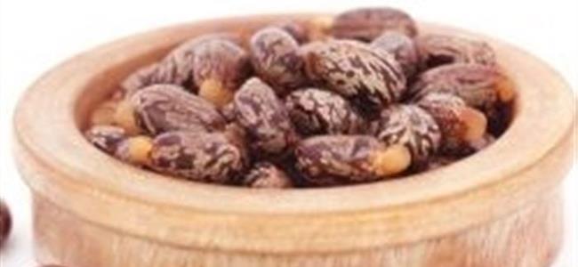 5 فوائد مذهلة لبذور الخروع لم تعرفوها من قبل!