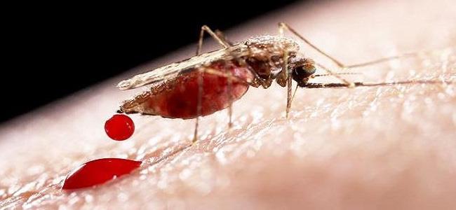 اكتشاف طريقة لمنع لدغات البعوض