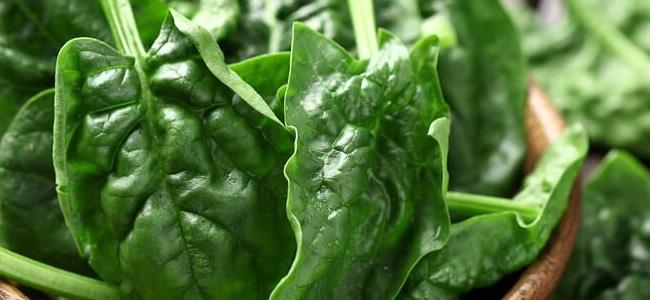 السبانخ أقوى مما تعتقدون.. تناولوه يومياً ولاحظوا الفرق! 