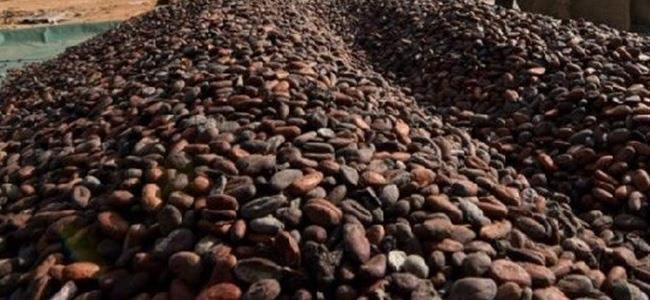  هل تواجه الشوكولاتة 