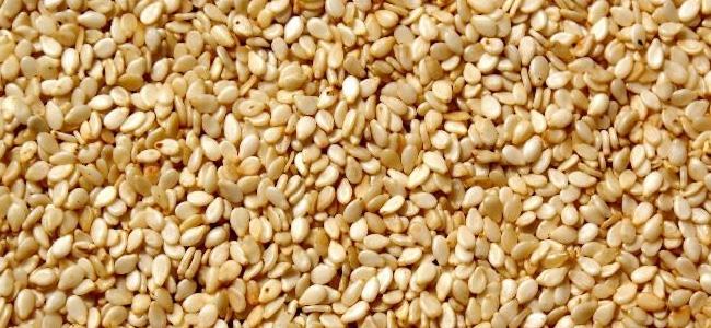 ستتناول السمسم يومياً بعد قراءة هذا الخبر! 