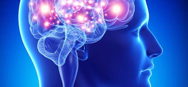 الدماغ يتوقف عن إنتاج خلايا الذاكرة في هذا العمر