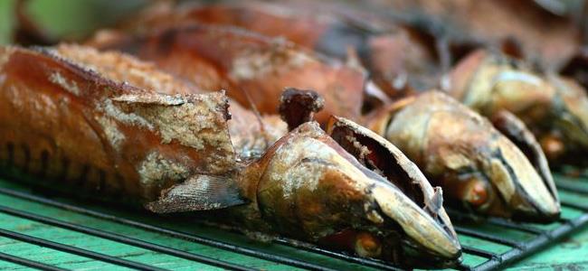 أطعمة تساعد على تقوية الذاكرة