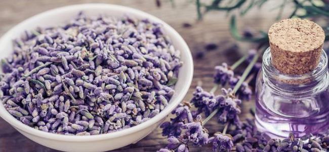 علاج المشاكل الصحية بزيوت النباتات