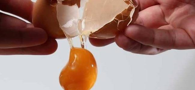  تناول بيضة واحدة يوميًا يحميك من أمراض خطيرة 
