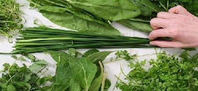  أكثر الأعشاب فائدة لجسم الإنسان!