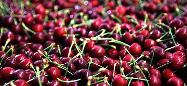 الكرز لعلاج الأرق وارتفاع ضغط الدم