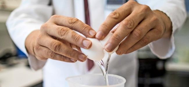 كل بيضة توازي 5 سجائر...اليكم التفاصيل ! 