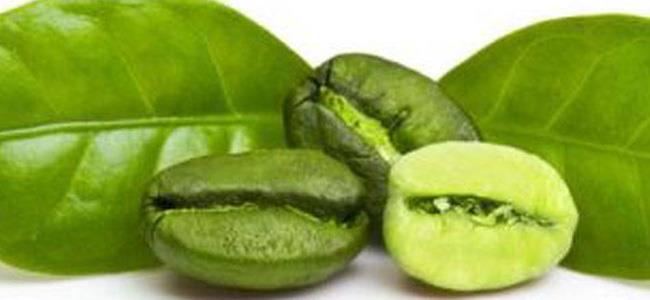  دراسة تشير إلى فوائد القهوة الخضراء