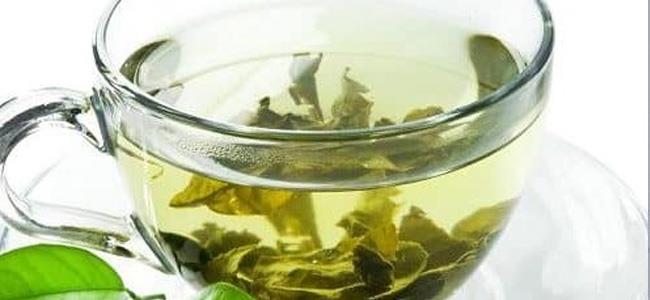  كيف يعمل الشاي الأخضر على حماية قلبك؟ 