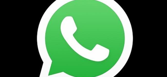  بالفيديو: اكتشاف 