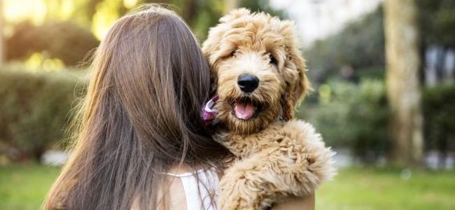 تربية الحيوانات الأليفة يساعد في علاج مرضى الاكتئاب