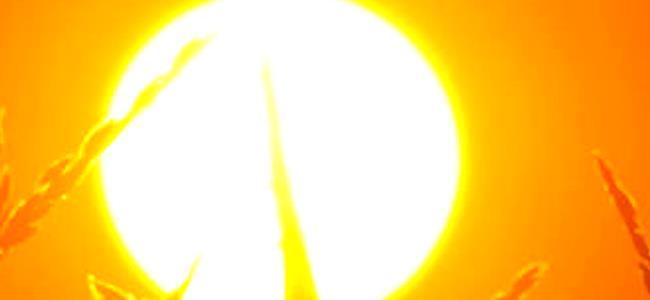 السنوات الأربع القادمة ستشهد زيادة خطيرة لدرجات الحرارة 