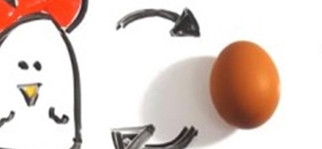  البيضة أولاً أم الدجاجة؟ إليكم الإجابة بحسب العلماء