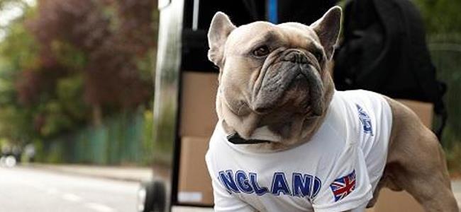 الرجل أم المرأة... أيهما أكثر فهما للكلاب؟