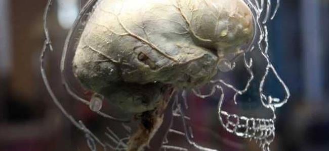 هل تكره الحفظ؟.. اليك الحلّ! 