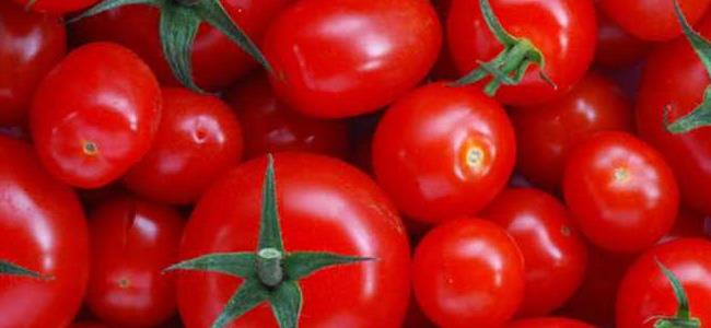 احذروا الطماطم.. يمكن أن تشكل خطرا على صحتكم
