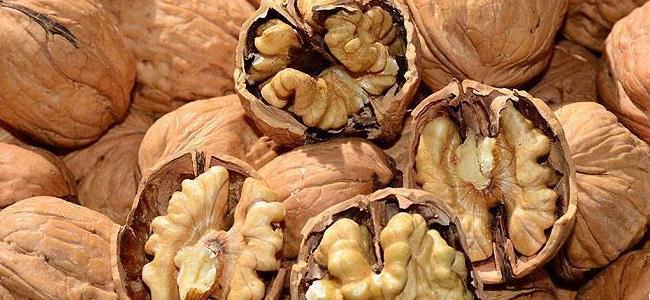 الجوز يقي من الإصابة بسرطان الأمعاء