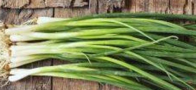 فوائد للبصل الاخضر مهمّة جداً من الناحية الصحية!