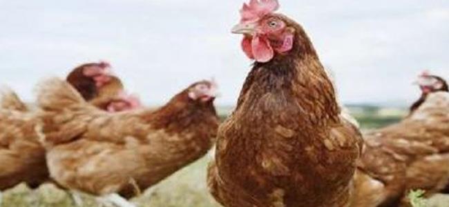 العلماء يؤكدون أننا نعيش 