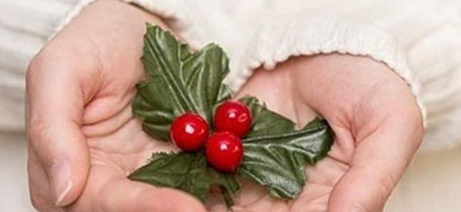  فوائد مذهلة لنبات الدبق.. تعرفي إليها! 