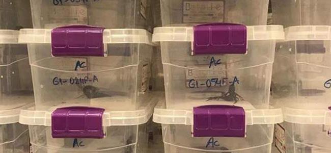  سعر الليتر 10 ملايين دولار.. تعرّفوا الى واحد من أغلى السوائل بالعالم! 