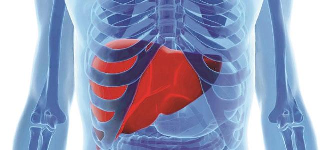 أكل اللحوم بكثرة يسبب أمراض بالكبد