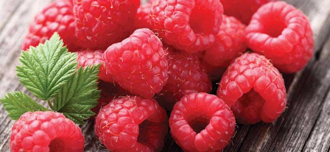 التوت الأحمر 