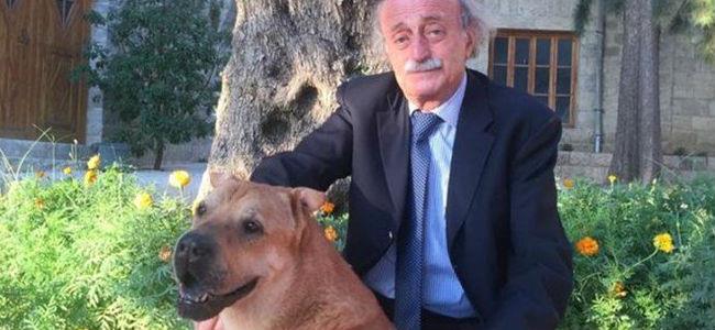 جنبلاط: وداعاً أوسكار