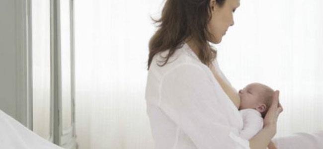 من هي الدولة 