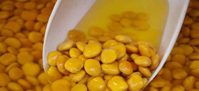 الترمس ضروري للجسم.. ويحميكم من هذه الأمراض