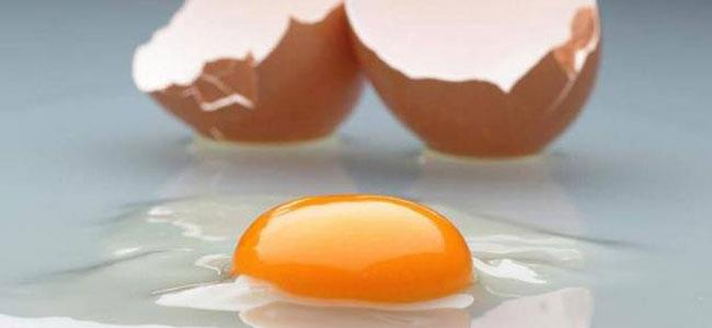 البيض وقوة النظر.. دراسة تكشف 